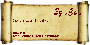 Szántay Csaba névjegykártya