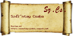 Szántay Csaba névjegykártya